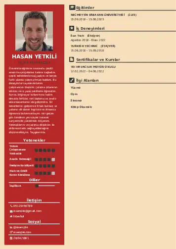 Havacılık Ve Uzay Uçak Mühendisi Cv Örnekleri cv indir